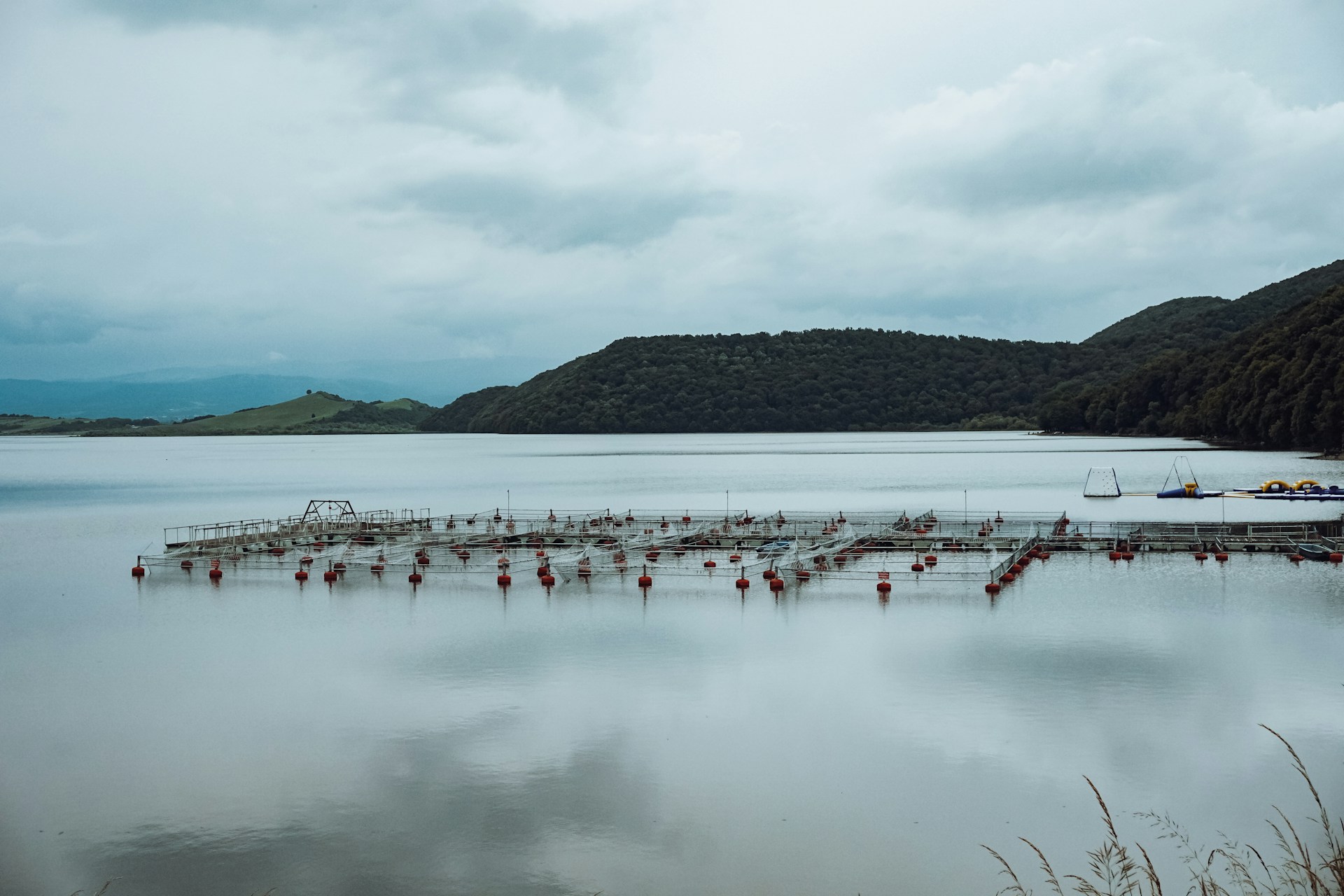 Redes de aquacultura, morte de aves e inação das autoridades