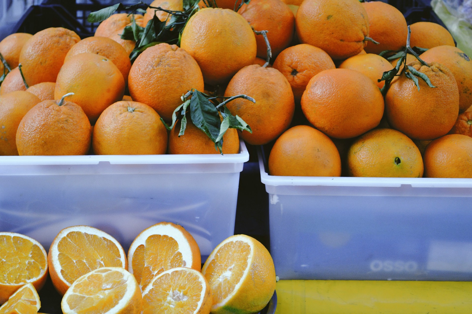 O Que Comprar e Plantar em Março