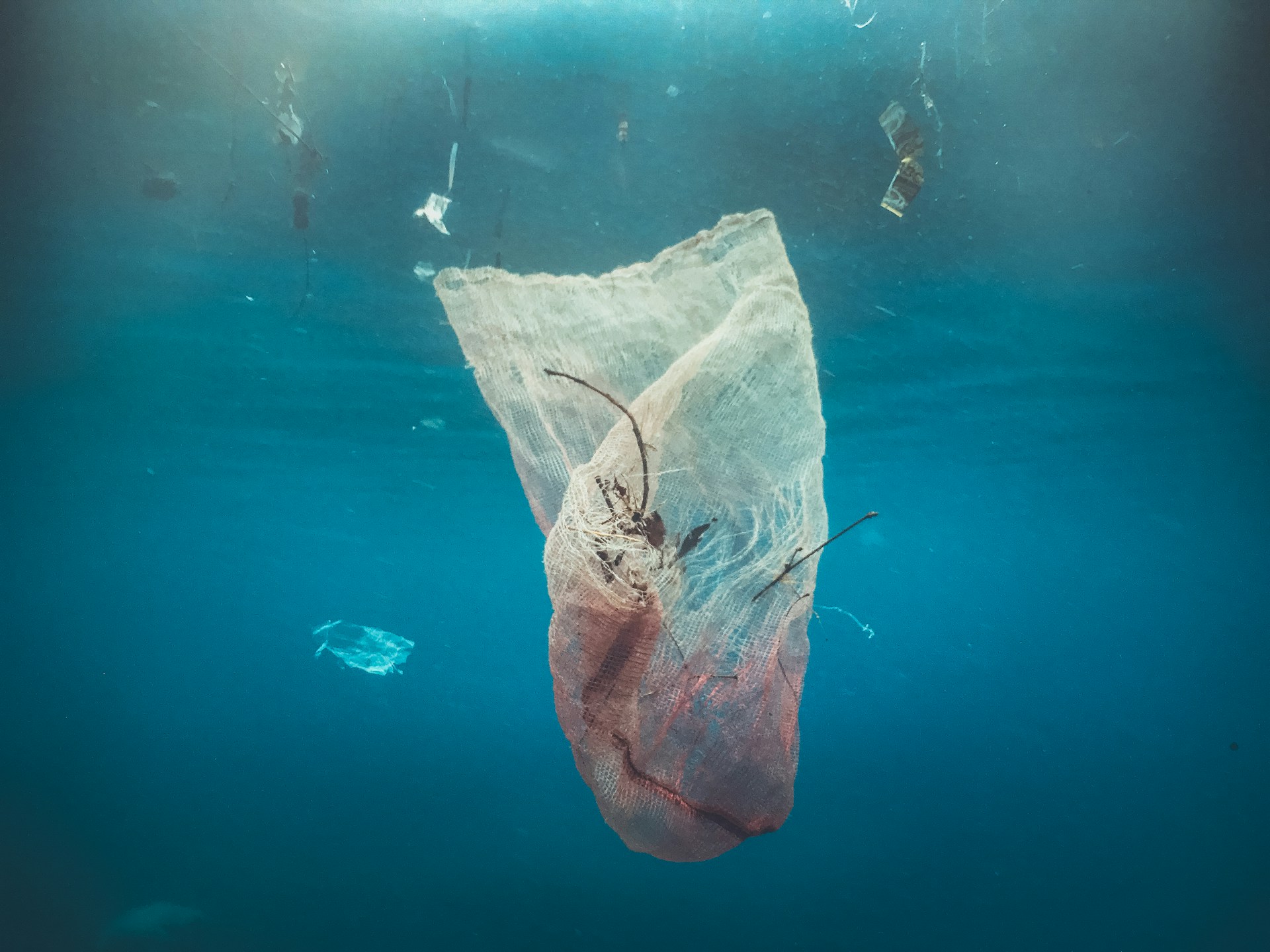 Mais Sobre o Plástico Que Polui os Nossos Oceanos