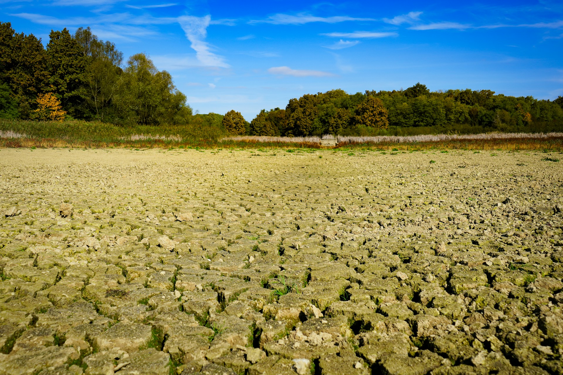 Dia Mundial de Combate à Seca e à Desertificação