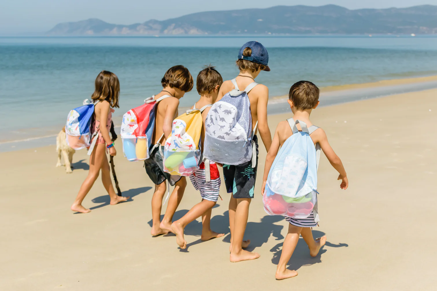 Especial Para Levar - Verão Especial Para Levar - Verão