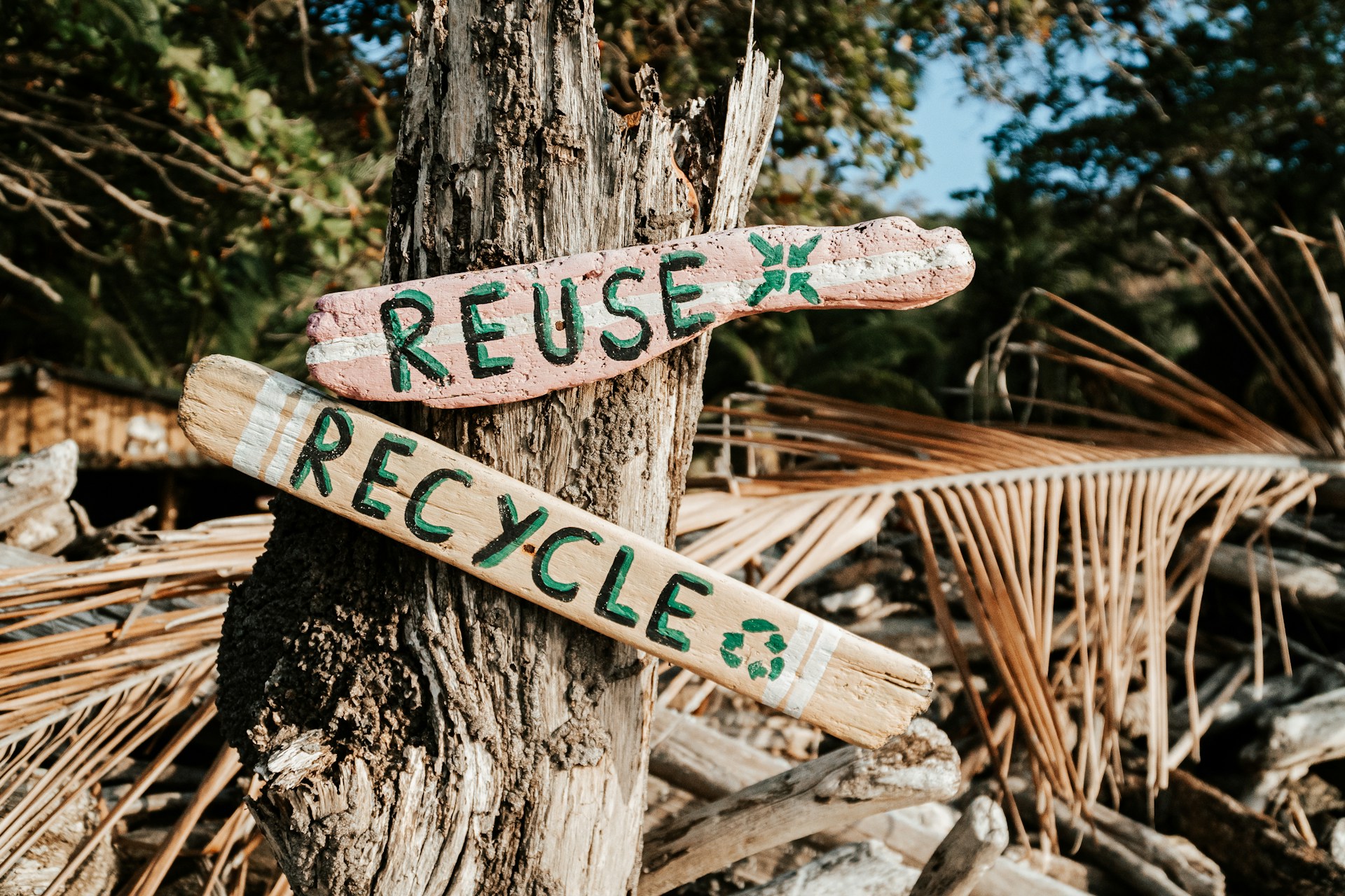 A reciclagem em período de pandemia