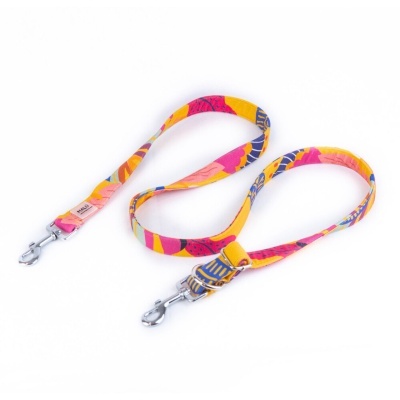 Conjunto Cinto e Trela para Passeios com Mãos Livres