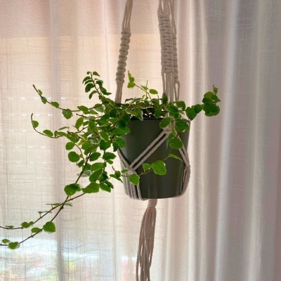 Suporte para Vasos Suspensos em Macramé Cor Neutra
