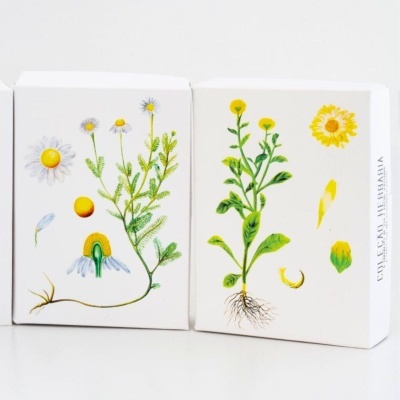 Conjuntos de Sabões Naturais Temáticos Animais e Herbária