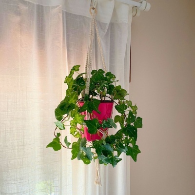 Suporte para Vasos Suspensos em Macramé Cor Neutra