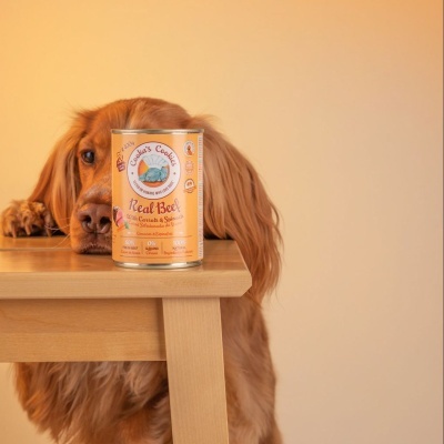 Alimento Húmido para Cão Natural e Sem Cereais