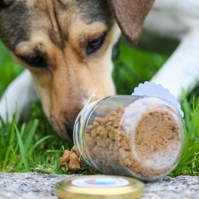 Snacks para Cão e Gato Desidratados Naturais de Frango
