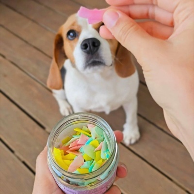 Topping Nutritivo para Cão e Gato Desidratado Natural