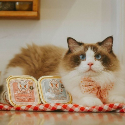 Alimento Húmido para Gato Natural e Nutritivo