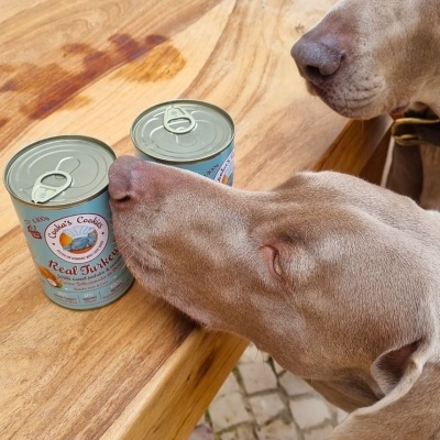 Alimento Húmido para Cão Natural e Sem Cereais