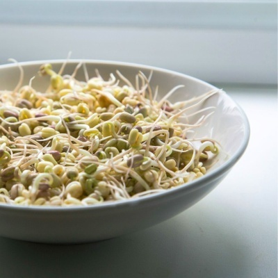 Sementes Biológicas Portuguesas para Germinar