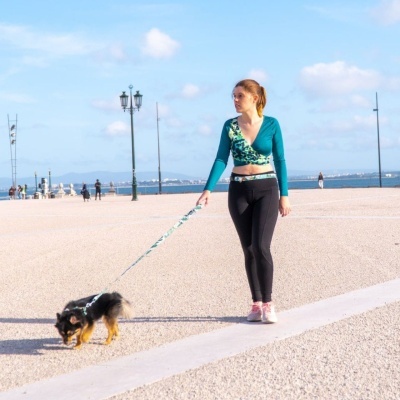 Cinto e Trela para Cão Mãos Livres