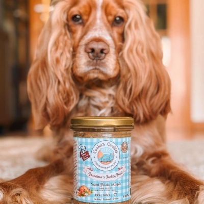 Alimento Húmido para Cão Natural e Cozinhado Alimento Húmido para Cão Natural e Cozinhado