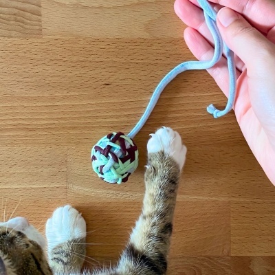 https://www.murta.eco/product/brinquedo-para-gato-em-tecido-reutilizado-e-reciclado
