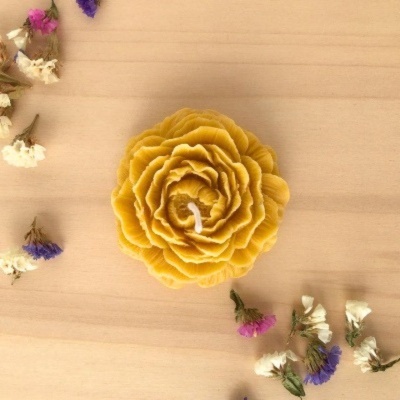 https://www.murta.eco/product/vela-de-cera-de-abelha-natural-flor-peonia