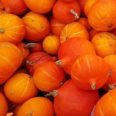 Sementes Biológicas Portuguesas Flores Aromáticas e Legumes