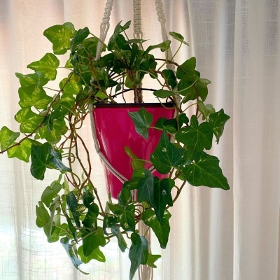 Suporte para Vasos Suspensos em Macramé Cor Neutra
