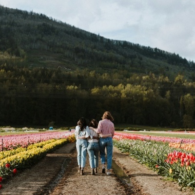 Favoritos de Primavera