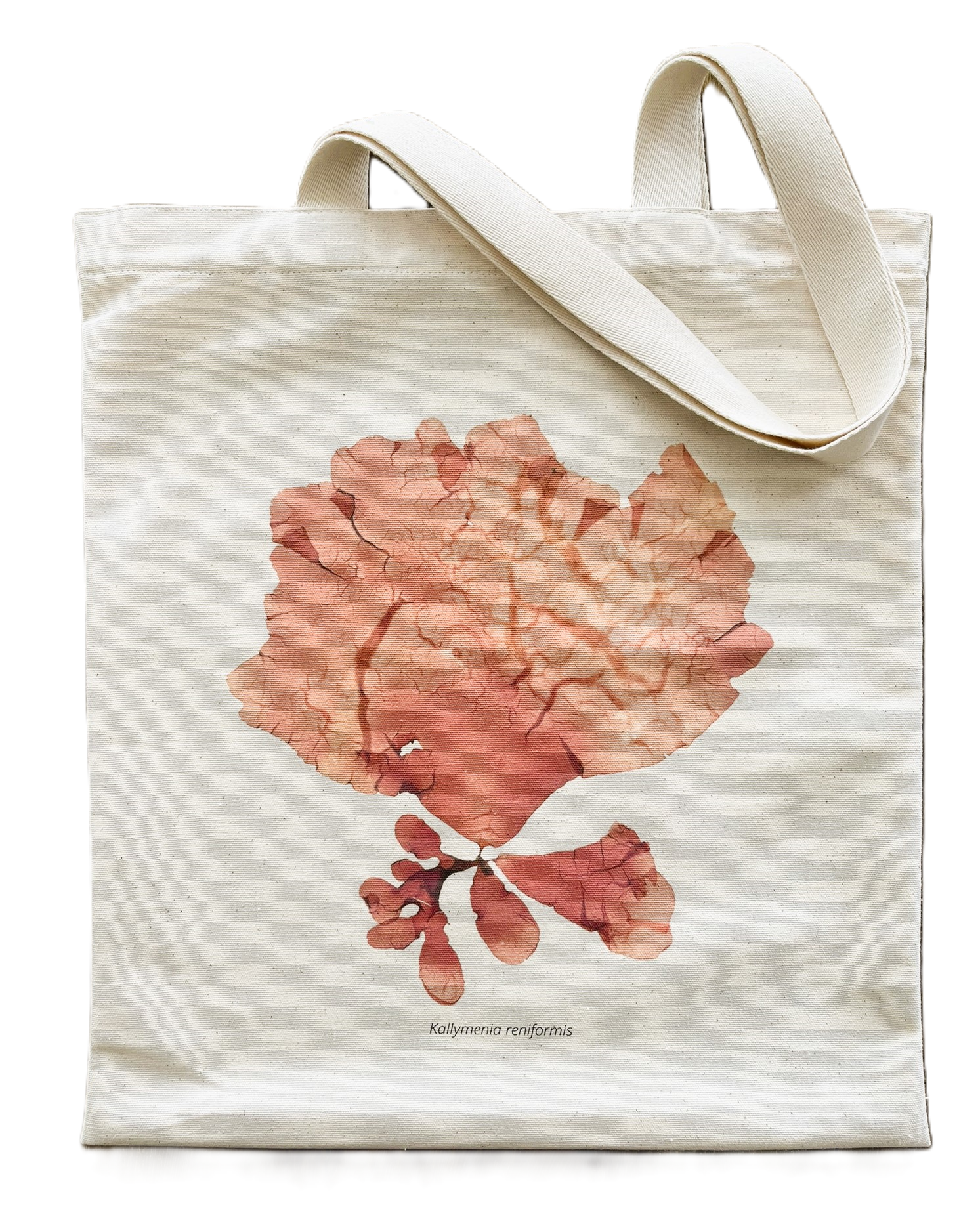 Saco de Pano de Algas