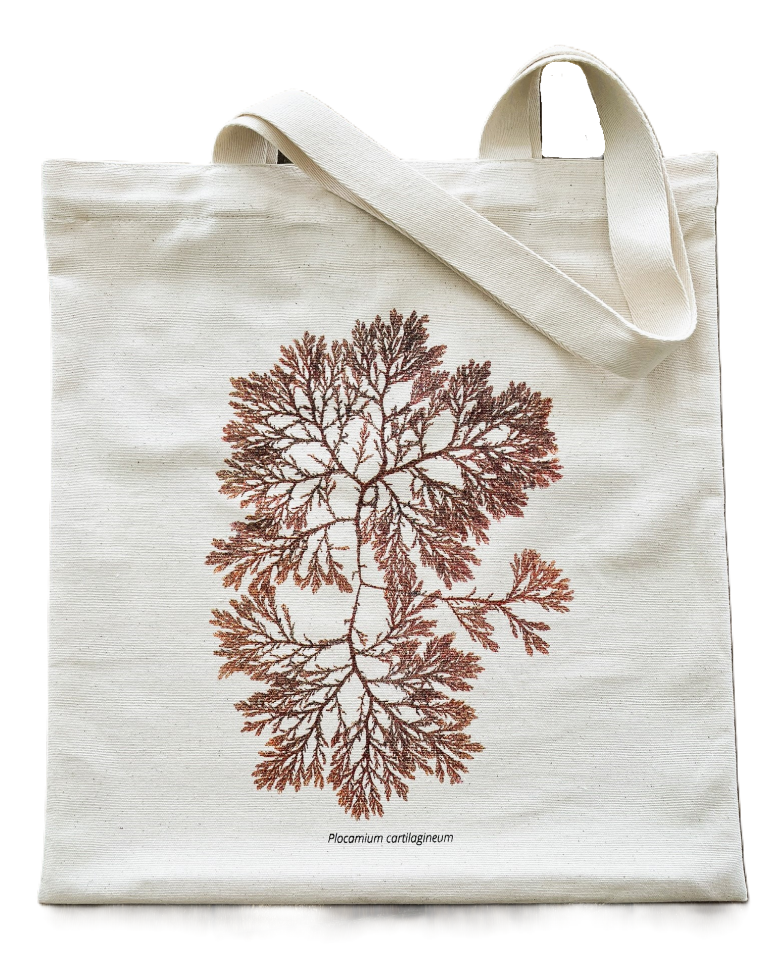 Saco de Pano de Algas