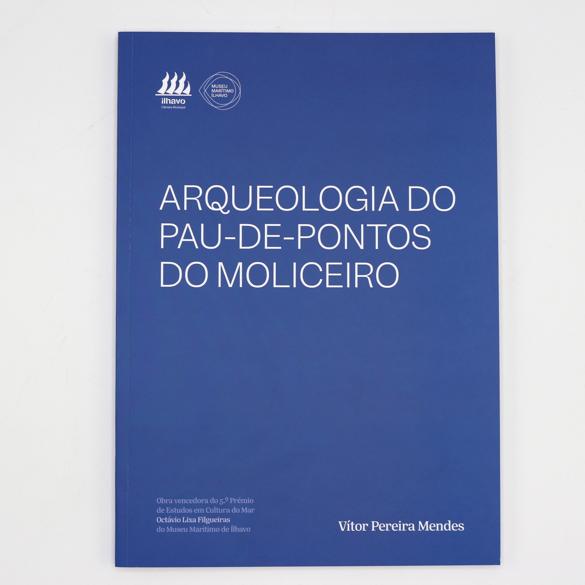 Arqueologia do Pau-de-Pontos do Moliceiro