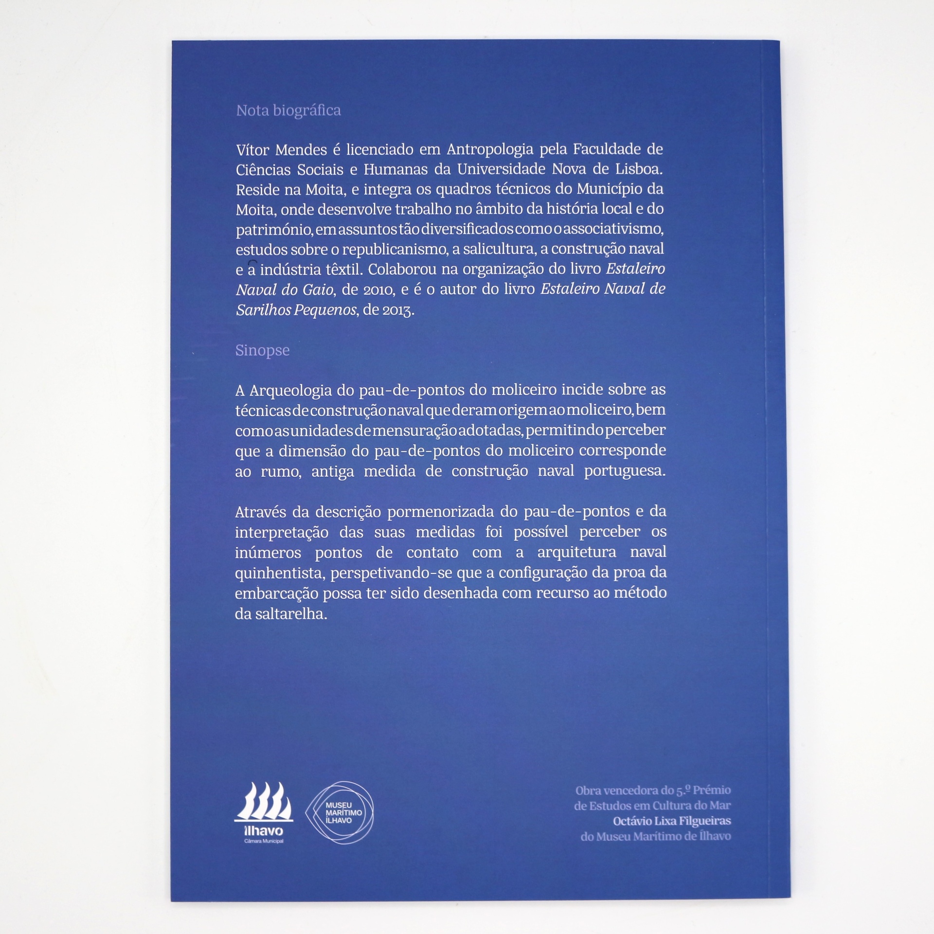 Arqueologia do Pau-de-Pontos do Moliceiro