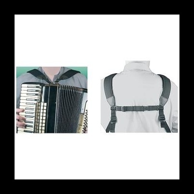 CORREIA ACORDEÃO SEGURANÇA 0259