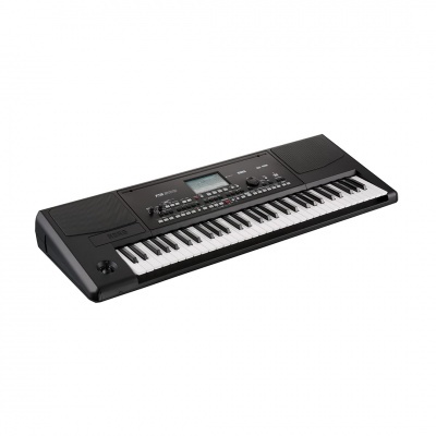 KORG PA300