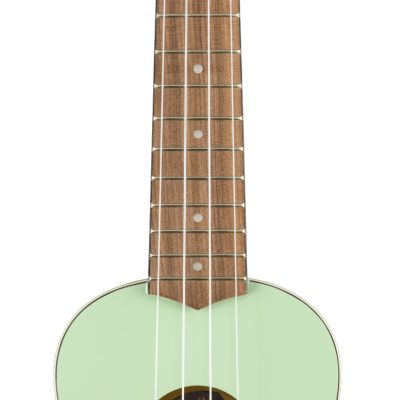 FENDER  VENICE SFG