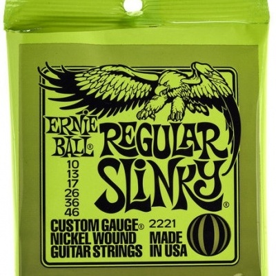 ERNIE BALL 2221