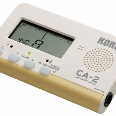 KORG CA2
