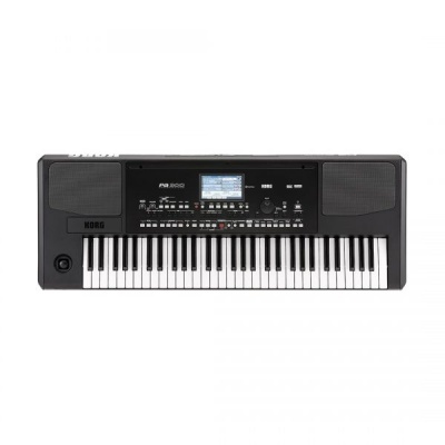 KORG PA300
