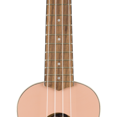 FENDER  VENICE SHPWN