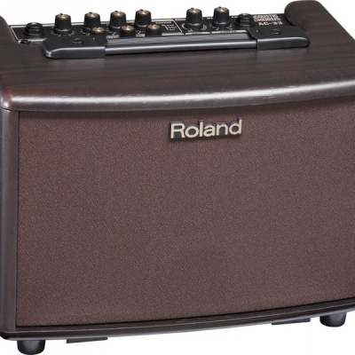 ROLAND AC33