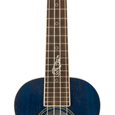 FENDER  DHANI HARRISON BT