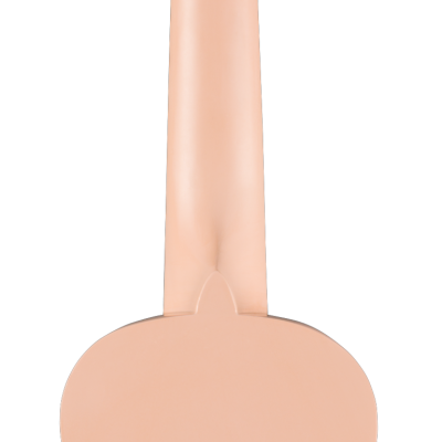 FENDER  VENICE SHPWN