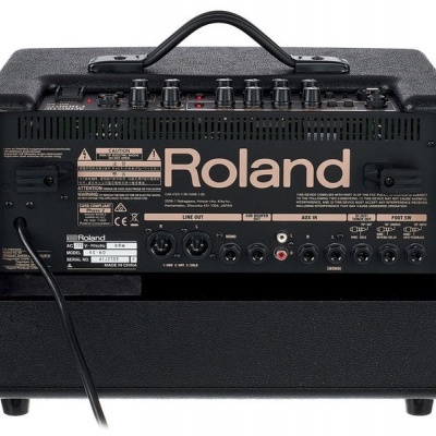 ROLAND AC60