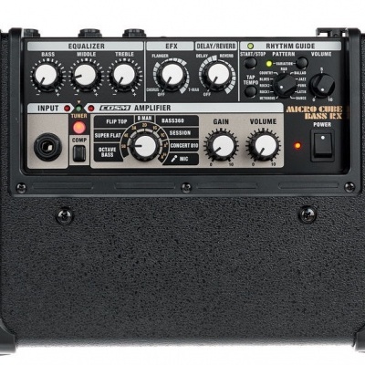 ROLAND MICRO CUBE BASS RX