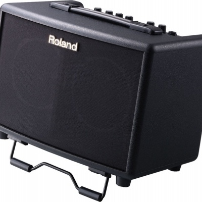 ROLAND AC33