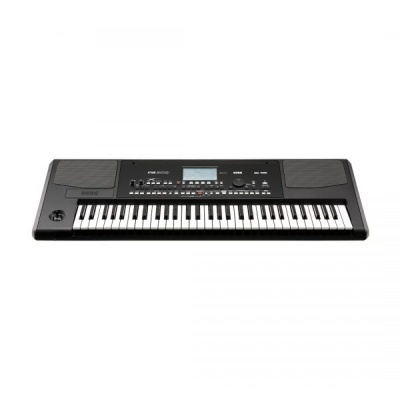 KORG PA300