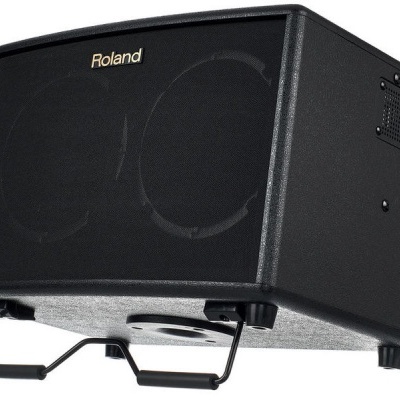 ROLAND AC60