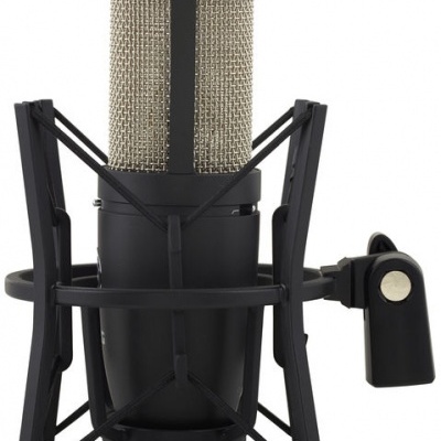AKG P420