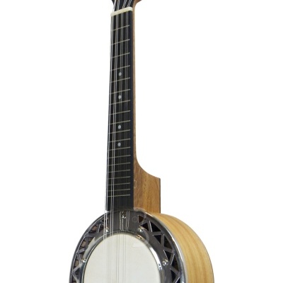 APC  BANJO BJPT100