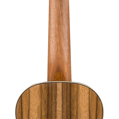 FENDER  DHANI HARRISON BT