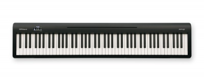 ROLAND FP10