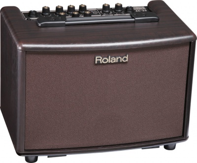 ROLAND AC33