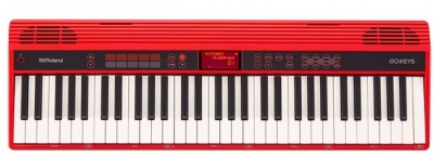 ROLAND GO KEYS
