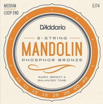 ADDARIO BANDOLIM EJ74