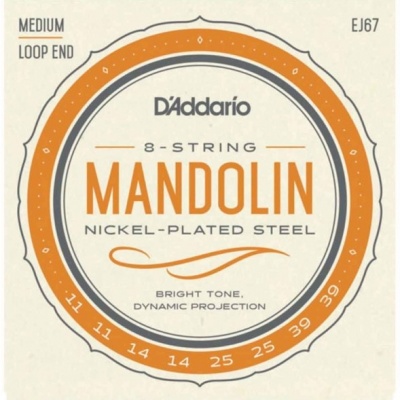 ADDARIO BANDOLIM EJ67
